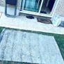 Carpet Image 2