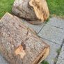 fire wood Image 3