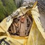 Free fire wood Image 2