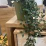 Collection of fake plants and pots Image 10