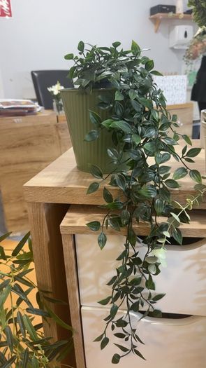 Collection of fake plants and pots