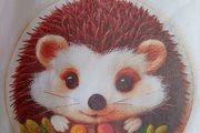 Needle Felting kit - hedgehog