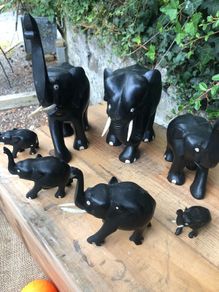 Elephant Collection