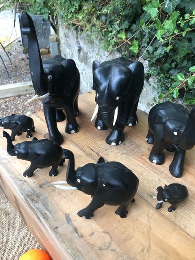 Elephant Collection