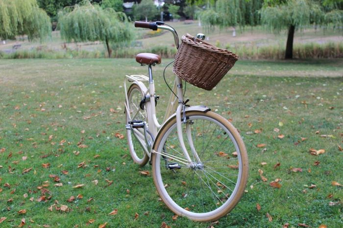 Popal Ladies Dutch Bike 28 Inch 3 Speed Basil Wicker Basket