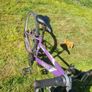 Kids bike Image 2