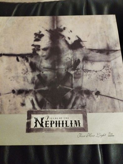 Fields of the Nephilim 4 x 12" lot