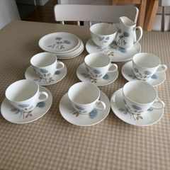Wedgwood Complete Tea Set Ice Rose