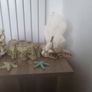 fish tank decorations Image 2