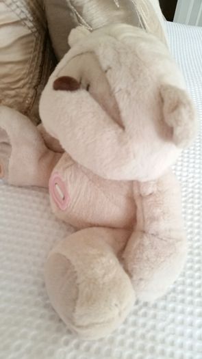Fizzy Moon Teddy Bear