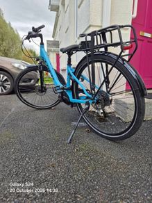 Electric bike