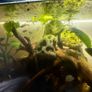 Full aquarium set up Image 4