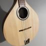 Irish Bouzouki by APC Image 2