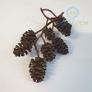 Alder cones 80ml Image 2