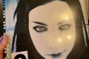 Evanescence - fallen limited edition 12" vinyl