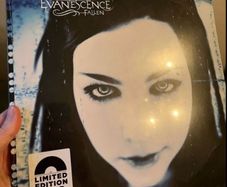 Evanescence - fallen limited edition 12" vinyl
