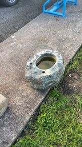 Vintage trough