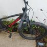 Trek Marlin 5 3Gen Image 8