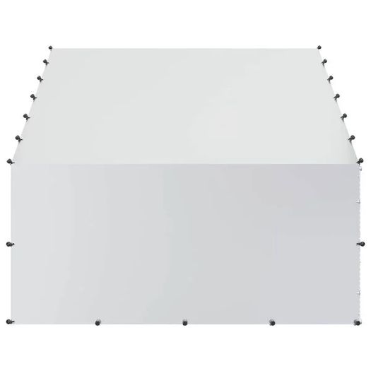 Chicken Coop with Roof Silver 300 x 200 x 190 cm