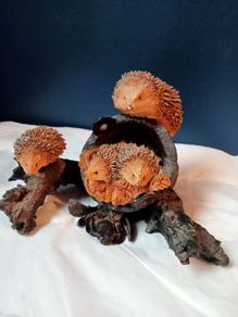 Bowbrook Studios Hedgehogs Family Ornament
