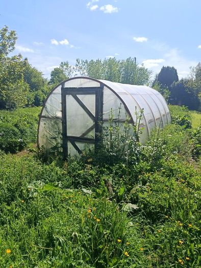 Green house