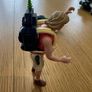 Vintage Jurassic Park Ellie Sattler Image 6