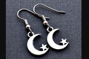 Pretty Crescent Moon Earrings