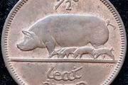 [#213] - Ireland 1966 | Irish 1/2d | Irish Half Penny | KM.10 | UNC