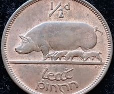 [#213] - Ireland 1966 | Irish 1/2d | Irish Half Penny | KM.10 | UNC