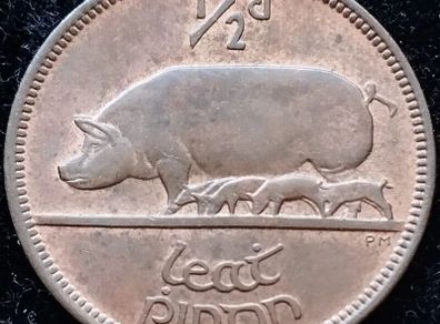 [#213] - Ireland 1966 | Irish 1/2d | Irish Half Penny | KM.10 | UNC