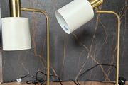 2 Desk lamps