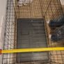 dog cage Image 5