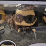 U2 signed Funko pop box set Image 6