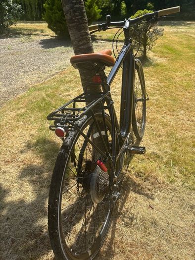 Momentum voyae + E bike