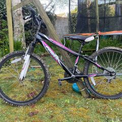2 girls bikes