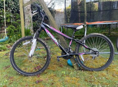 2 girls bikes