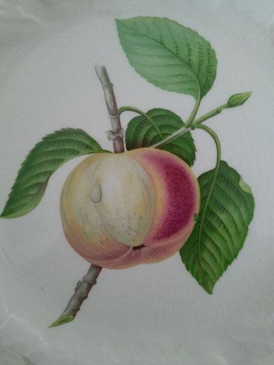 Alfred Meakin - Plate