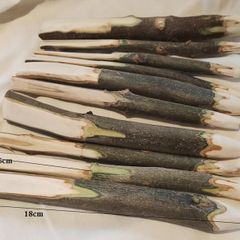 Handmade 10 Wooden Plant Labels (26011)
