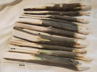 Handmade 10 Wooden Plant Labels (26011)