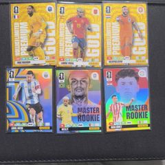 FIFA  world cup 2026 cards panni
