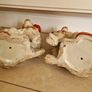 Antique Staffordshire Dogs Image 7