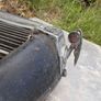 morris 10 front grill Image 3