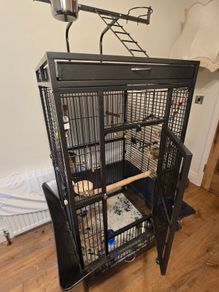 Parrot Cage