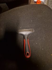 dog brush