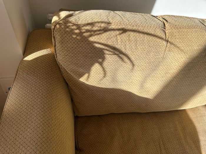 3 Seater Sofa For Free
