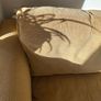 3 Seater Sofa For Free Image 3