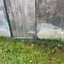 Poultry fencing-Electric Image 5