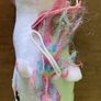 Unicorn plush stuffed doll Image 3