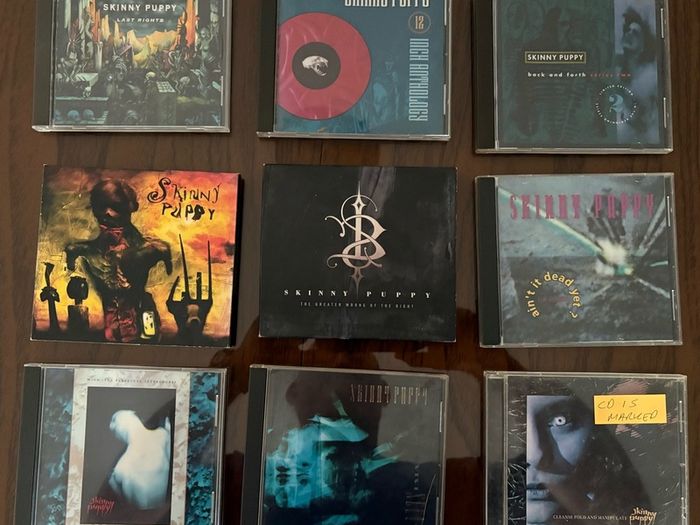 Nine CDs by Canadian band Skinny Puppy and a bootleg. Five euros each or fifty euros for the lot including postage.