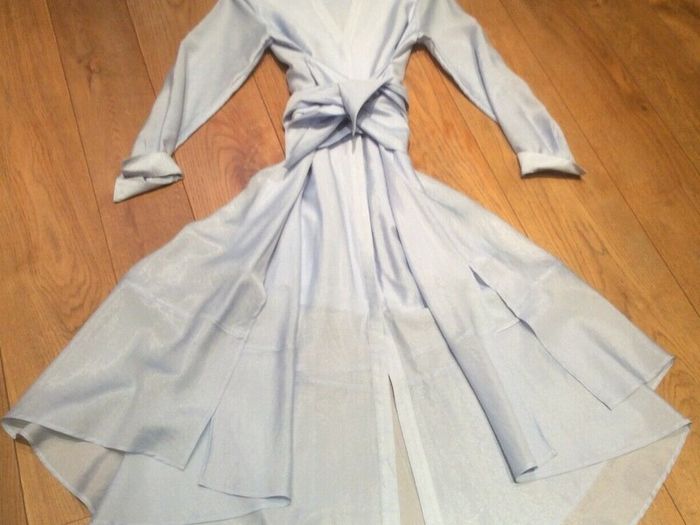 COAST Torrington Shirt Dress